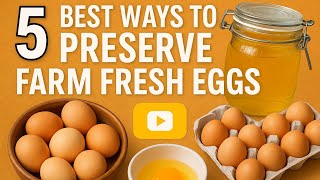 5 BEST Ways to Preserve Farm Fresh Eggs | Long Term Storage Made Easy 🥚✨