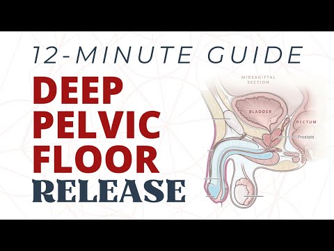 Guided Pelvic Floor Deep Release - 12 Minute Routine For Pelvic Floor Tension