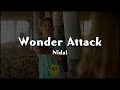 Nidal Wonder Attack Lyrics The Truth About Their Feelings