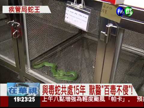 用命換來的! 獸醫製造抗毒蛇血清