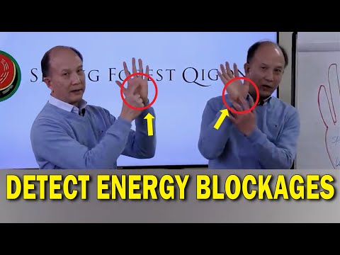 Master Chunyi Lin | Detect Energy Blockages in just few Seconds -The Qigong Technique