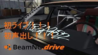 beamNG.drive まったり雑談しながらスキン作り！！