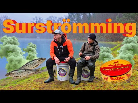 Mangio e pesco con il Surströmming [DISGUSTOSO]