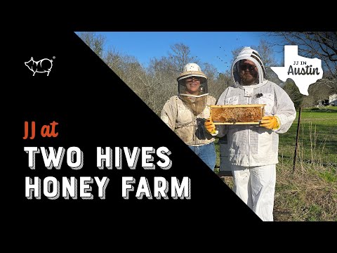 JJ at Two Hives Honey Farm - Angry Bees | Bee Stungs | Honey Tasting | JJ Running from Bees