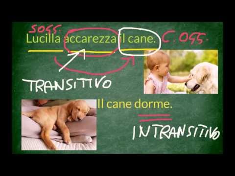 Zenzero per risultati di ricette di perdita di peso Xenical di 120 mg 84