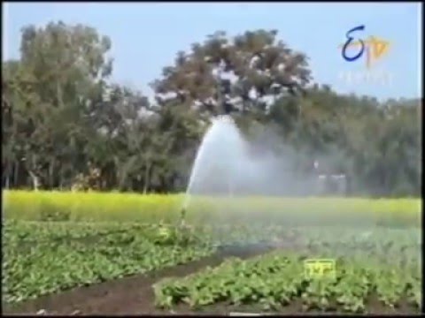 Raingun Turbine Drive V-Skipper With Accessories