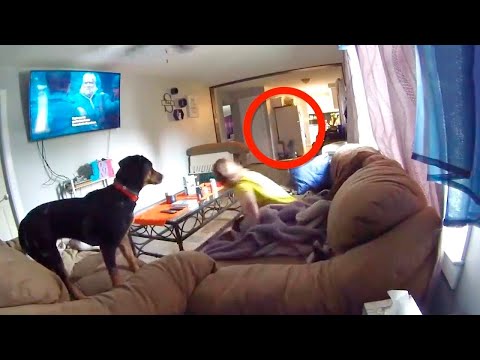 Такое Редко Увидишь! Скрытые Записи с Камер Видеонаблюдения