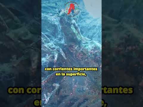 (PARTE 2) 49 minutos: la tragedia de Juan Fernández el 27F  #valpopregunta