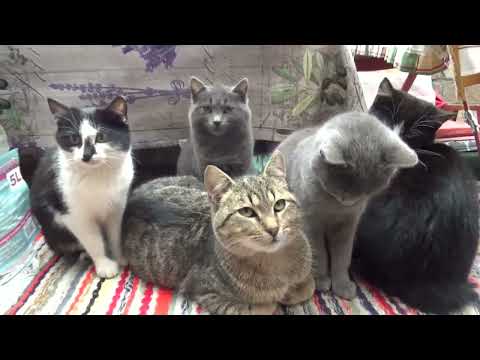 Bugaszegi szösszenetek - Véletlen találkozás a bugaszegi estében