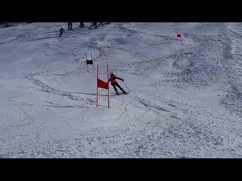 SCI CLUB PENNA NERA, CUCCIOLI 17 FEB 2024