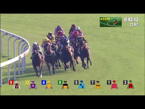 Mr Stunning wins Premier Bowl 2017