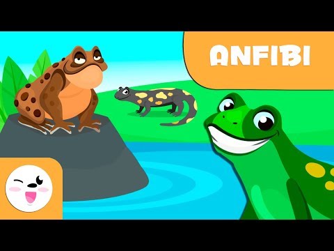 Gli anfibi per bambini - Animali vertebrati - Scienze naturali per bambini