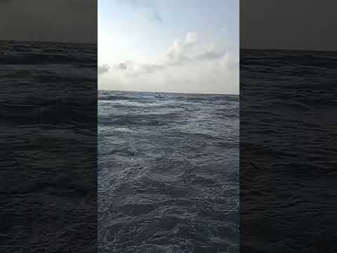 Ganga dhire bahure##ganga #love #song #funny #beach #sorts