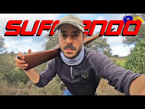 💥¡𝐀𝐋 𝐋𝐈𝐌𝐈𝐓𝐄!💥 La de Caza de Perdices Salvajes en Solitario no es para cualquiera😲