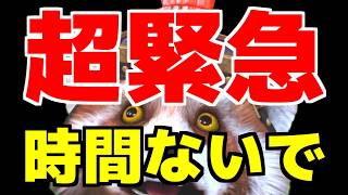 【チョコットランド】緊急動画『急いで見て』2026年5月13日メンテナンス前迄