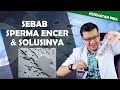 PENYEBAB SPERMA ENCER DAN SOLUSINYA DOKTER SADDAM ISMAIL