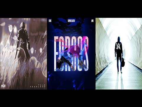 Faded ✘ Forces ✘ Fearless (Instrumental Mashup) || Alan Walker, AWS, Lost Sky & More