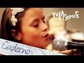 O CADERNO (Toquinho) - Cover RAFA GOMES