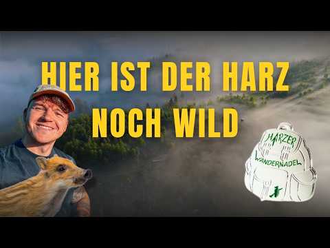 Harz Highlight: Magische Rappbodetalsperre I Harzer Wandernadel 52, 53, 56 & 60