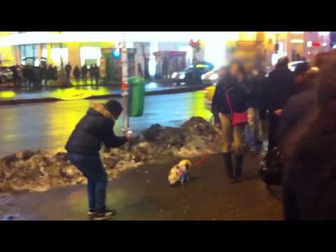 Ultima fitza de Unirii: cu porcul in lesa! (VIDEO)