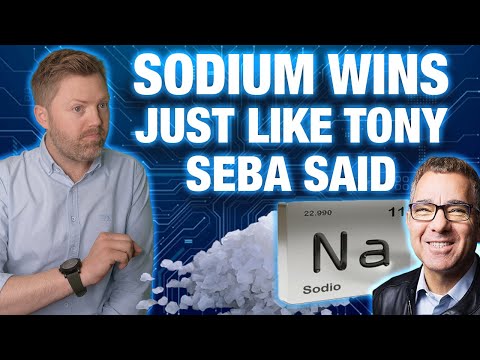 Sodium Takes Over - Tony Seba’s Battery Prediction Comes True