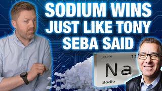 Sodium Takes Over - Tony Seba’s Battery Prediction Comes True
