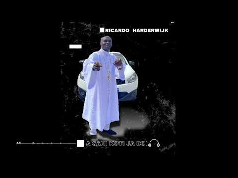 RICARDO HARDERWIJK- A SANI KOTI JA BOI) Prod. Rosco Studio
