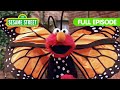 Elmo S Butterfly Friend Sesame Street Full Episode