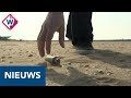 Klimaatpact: Ook strandpaviljoens doen plastic in de ban - OMROEP WEST