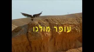 ראש השנה תשע"ז-סרטון לאיש השנה עופר מולכו