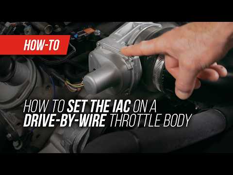 How to Set DBW Idle on Holley Terminator X (Quick IAC Setup Guide)