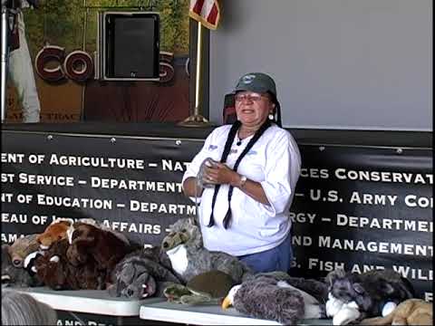 Tent of Many Voices: M09010506TEG