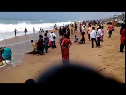 Sea Bath and Camel at Sea Beach