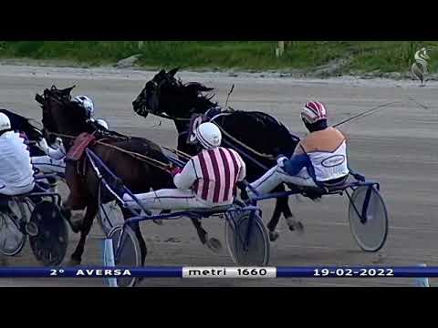 Aversa trotto 19 Febbraio 2022 - 2° Corsa