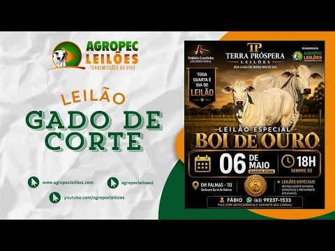 Agropecleiloes.com LEILÃO ESPECIAL GADO DE CORTE | TERRA PRÓSPERA LEILÕES - PALMAS- TO | 06/05/2026