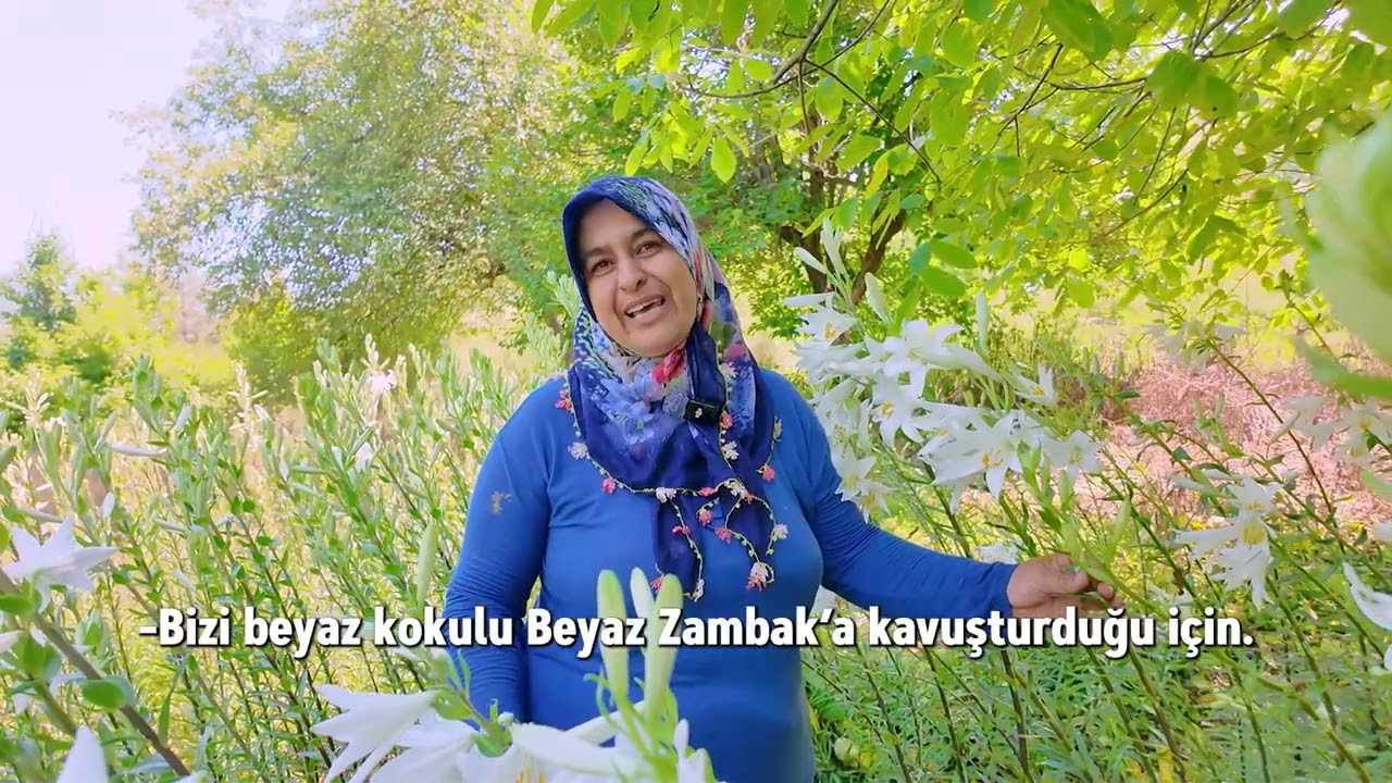 Beyaz Zambak Yetiştiriciliği Projesi ile kadınlar emeklerini üretime ve dayanışmaya dönüştürüyor