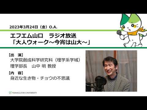 身近な生き物・チョウの不思議　理学部長　山中 明（大学院創成科学研究科（理学系学域）生物学分野教授）（23.3.24 O.A.）【山口大学大人ウォーク～今宵は山大】