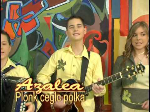 ansambel AZALEA - Plonk ceglc polka (videospot)