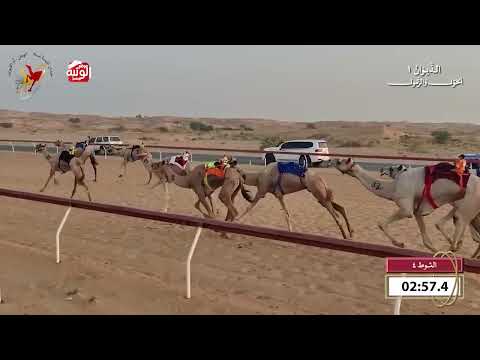  ش 4 (نبه) لـ راشد سعيد محمد الكمده 8:11 , شارة الديوان 1 2026/09/20 حول زمول اللبسه  