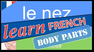 Parts of the body in French | French Lessons for Learners