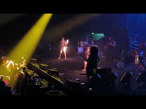 shepherds reign live in Auckland