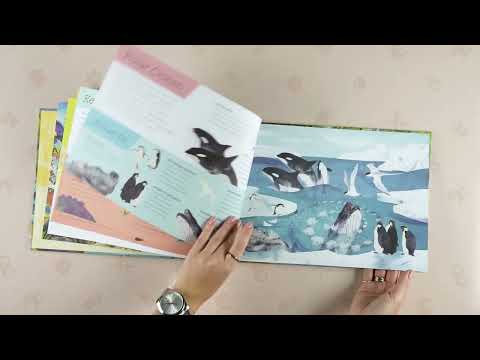 Книга Above and Below: Sea and Shore video 1