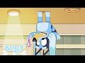 Bluey Säsong 2 Fullständiga Avsnitt Bluey Officiella Svenska Kanalen