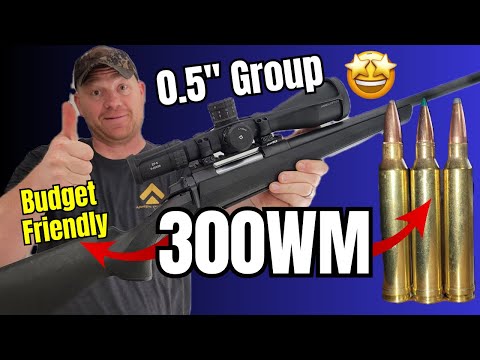 This CHEAP 300 Win Mag shoots GREAT!!! [Browning AB3]