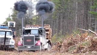 Pete 359 Classic Takeoff