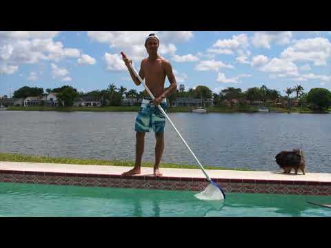 Bajan's Abroad Sexy Pool Boy