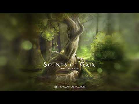 VA — Sounds Of Gaia (Compiled by Sunduo)