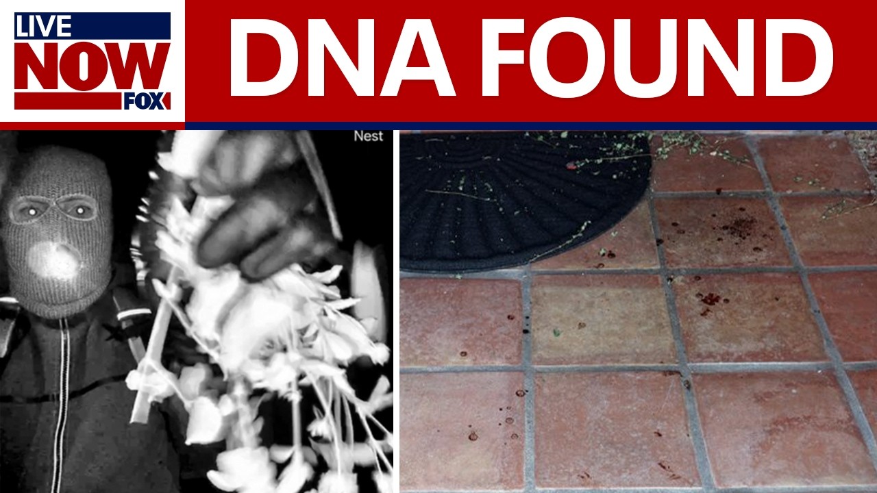 DNA found at Nancy Guthrie's home is not hers, sheriff says