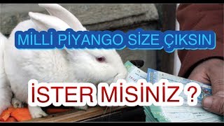MİLLİ PİYANGO SİZE ÇIKSIN İSTER MİSİNİZ ? İŞTE ŞANSLI NUMARALAR