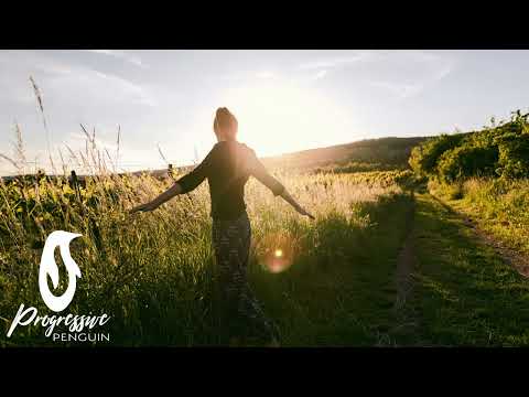 Richard Bass - Awakening (Anlaya Project Remix)